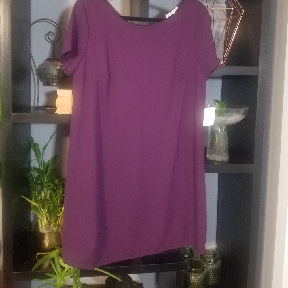 NWT  Charlotte Russe purple shift dress
